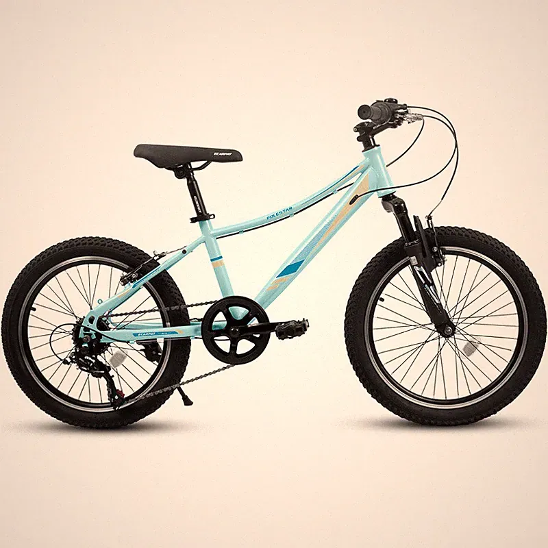 20" Kids Bike Shock Absorbing Front Fork 21 Speed V Brakes Mountain Tire Bicycle