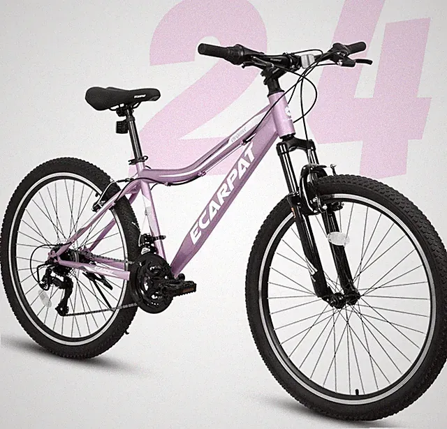 24 26 Inch Women Girls Mountain Bike, Disc/V Brakes 21 Speeds Women Bike, Sturdy