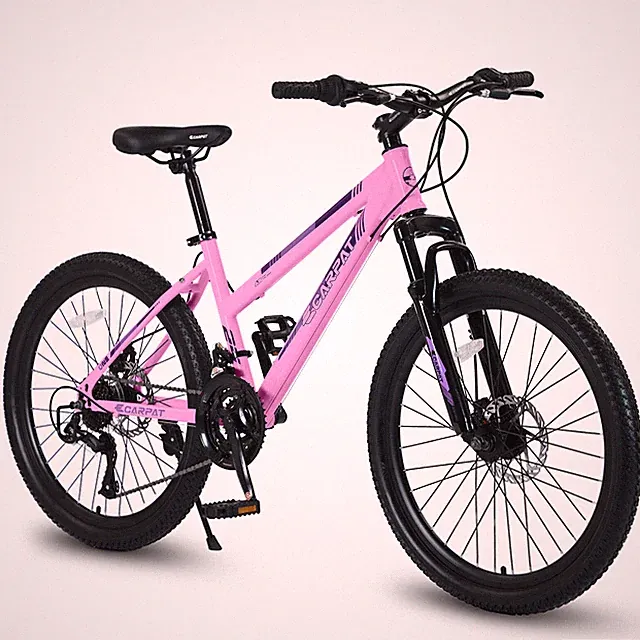 24 Inch 21 Speeds Mountain Bike for Teenagers Girls with Dual Disc Brakes