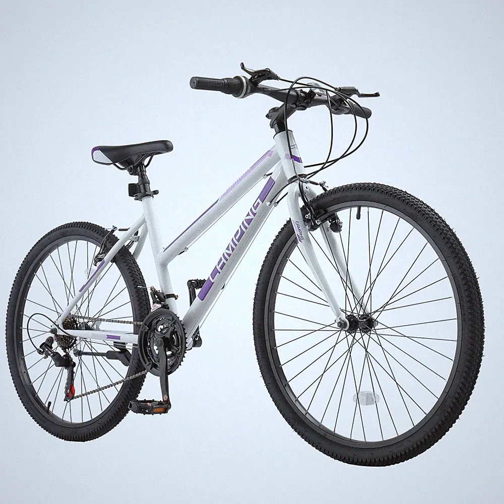 26 Inch Mountain Bike,21 Speeds High-Carbon Steel Frame, Sport MTB Bicycle