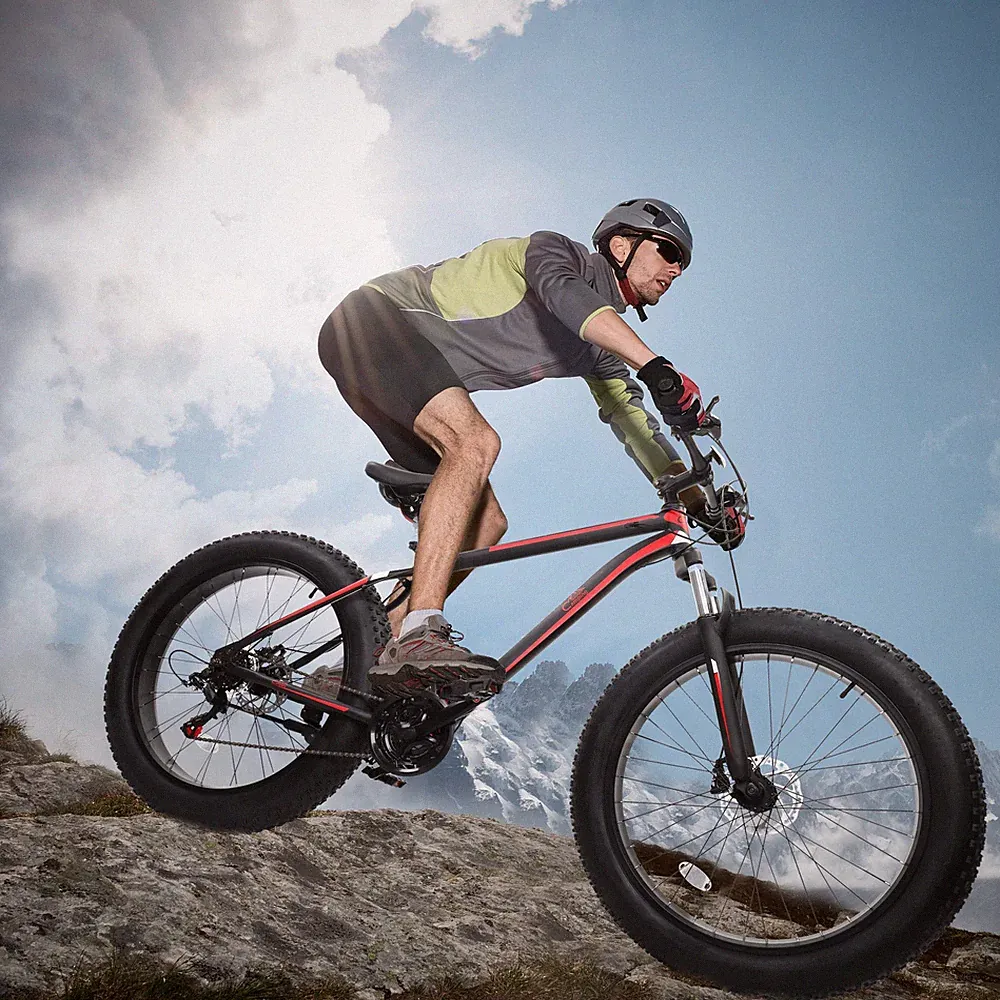 21 Speeds Comfort Bike