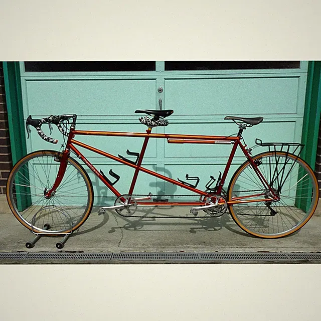 Davidson Custom Tandem 57 cm Front 53 cm Rear New Paint Road and Gravel