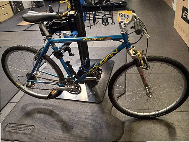 Lee Cougan Revenge XC Classic Performance Bicycle