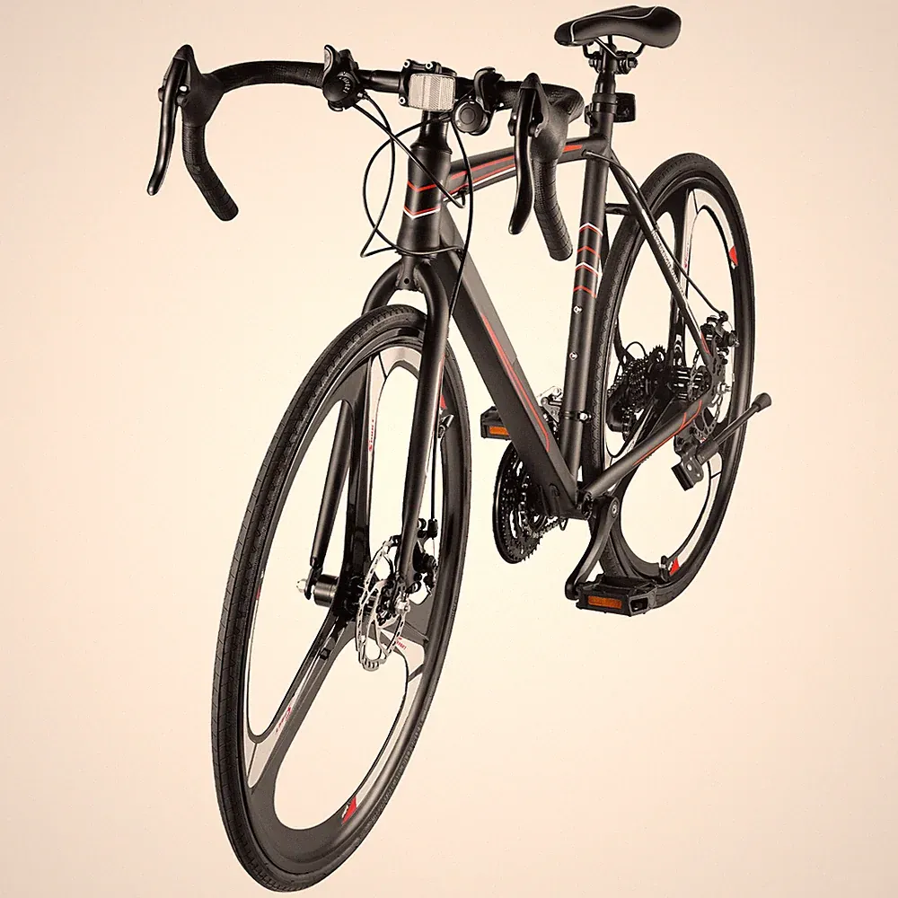 21 Speeds Road Bike